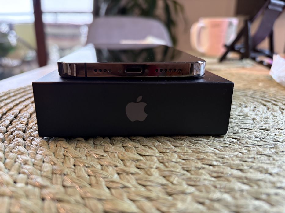 iPhone 13 Pro Max (128 GB) - Graphite