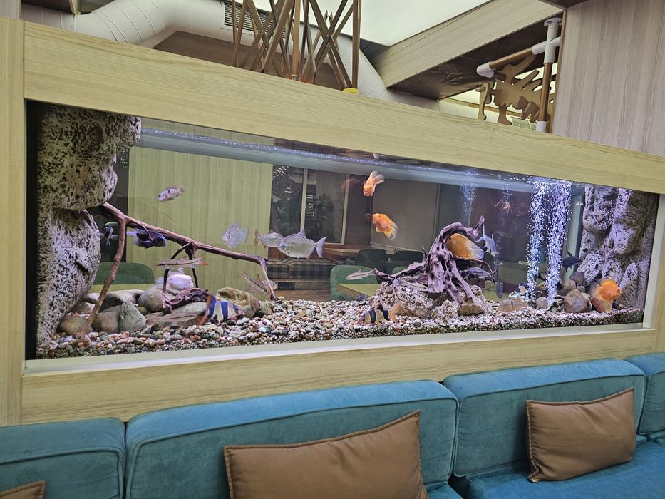 Продавам аквариум