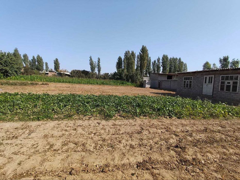 Арзон Кадастрли ер, 4 сотих, Нархи 4200 бир сотихи