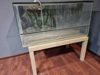 Vand terariu reptile