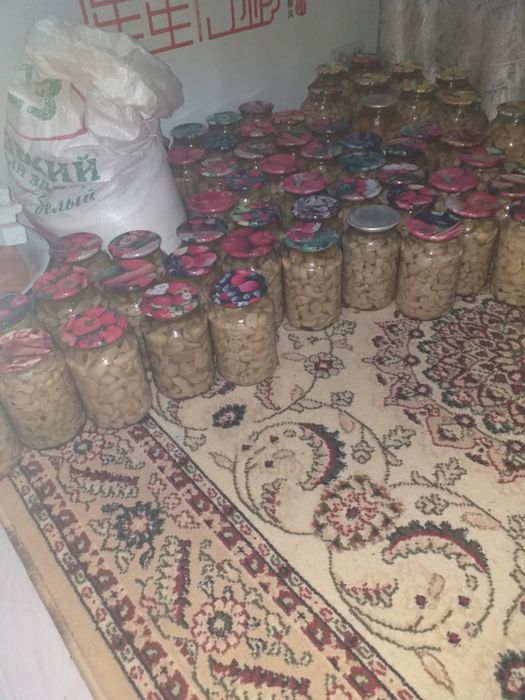 Маринованные грибы