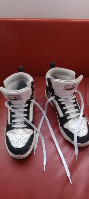 Кецове puma, номер 37