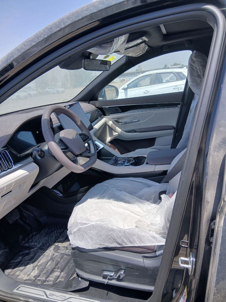 BYD chempion smart