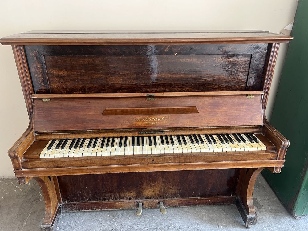 Paul Friedrich Neisse 50539