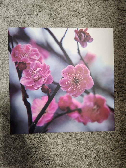 Vand 4 tablouri, canvas, noi