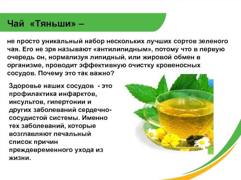 Тяньши - чай биологически активная добавка к пище