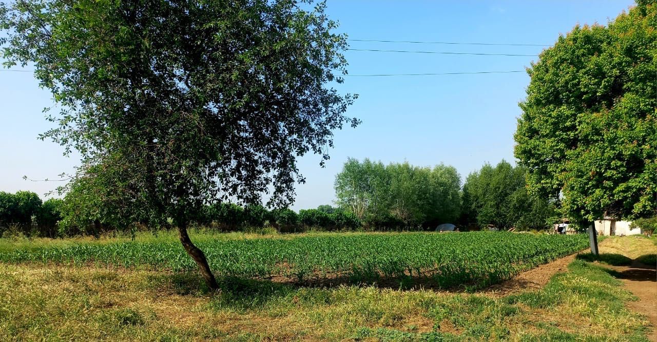 Uchastka sotiladi Buka tuman Bo’ston xojaligi