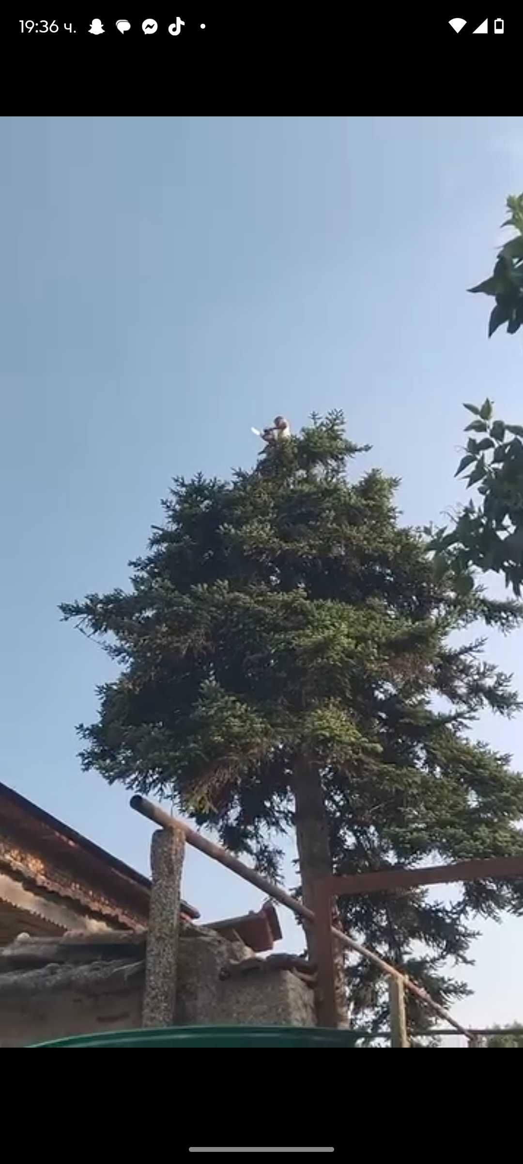 Почистване на дворове рязане на дърва