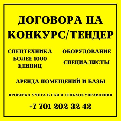Готовим документы на тендер и лицензию