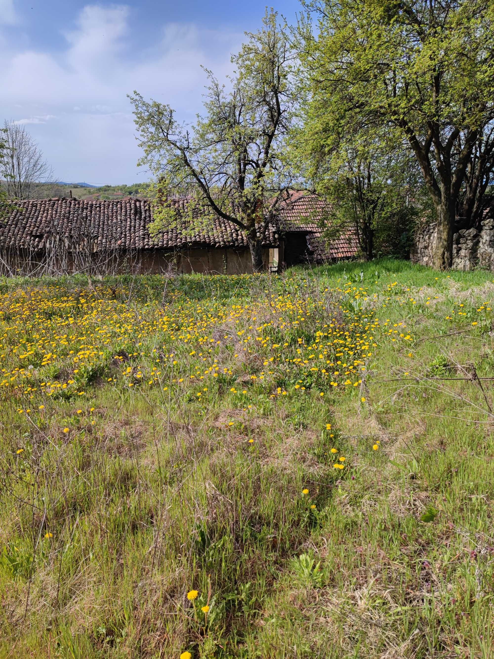 Имот с къща в село Присово