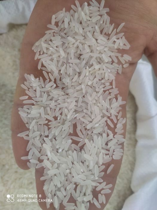 Guruch,Lazer,рис,гуруч,груч