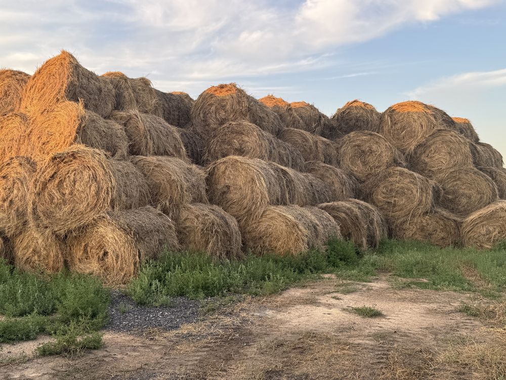 Продам сено рулон
