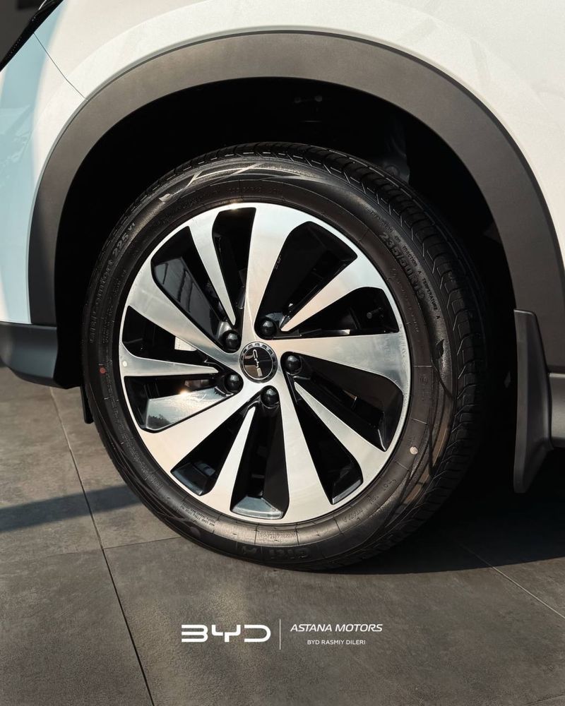 Song Plus Champion (PHEV)