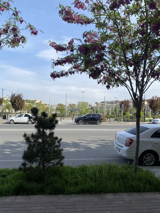 Сдаётся  в аренду