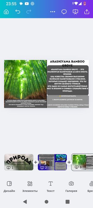 Продам призентацию