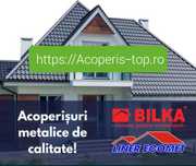 Acoperișuri Reparații