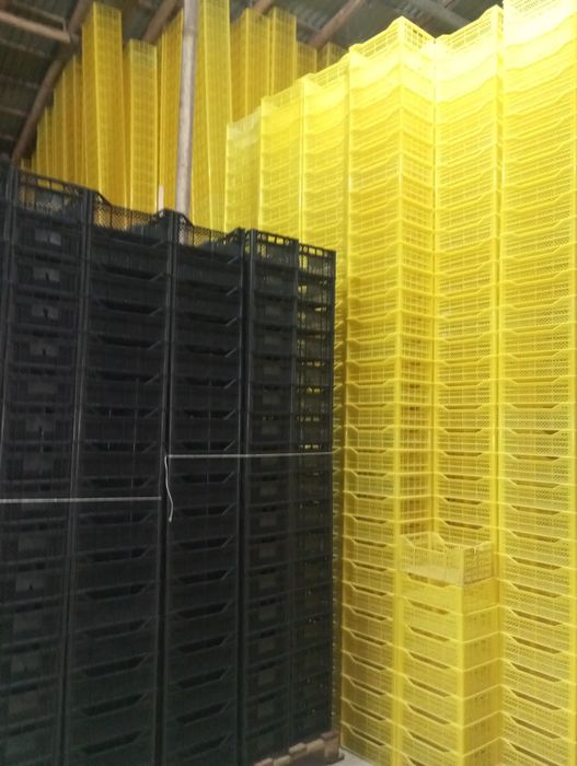 Ящик жолтый 1сортный