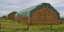 Prelata PROTECTIE BALOTI/ploi-inghet  9.8x 25m=1.690 lei, IMPERMEABILA