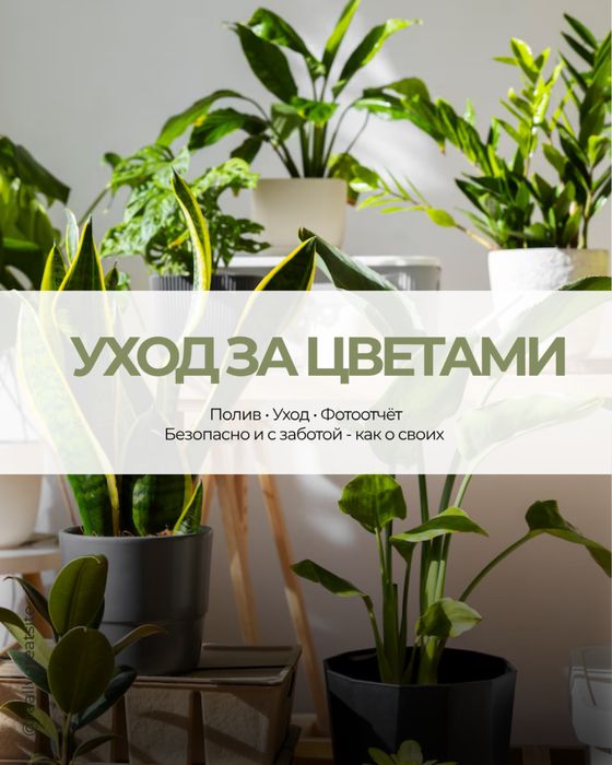 Уход за цветами | Ташкент