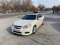 EPICA 2010 / 215.000km