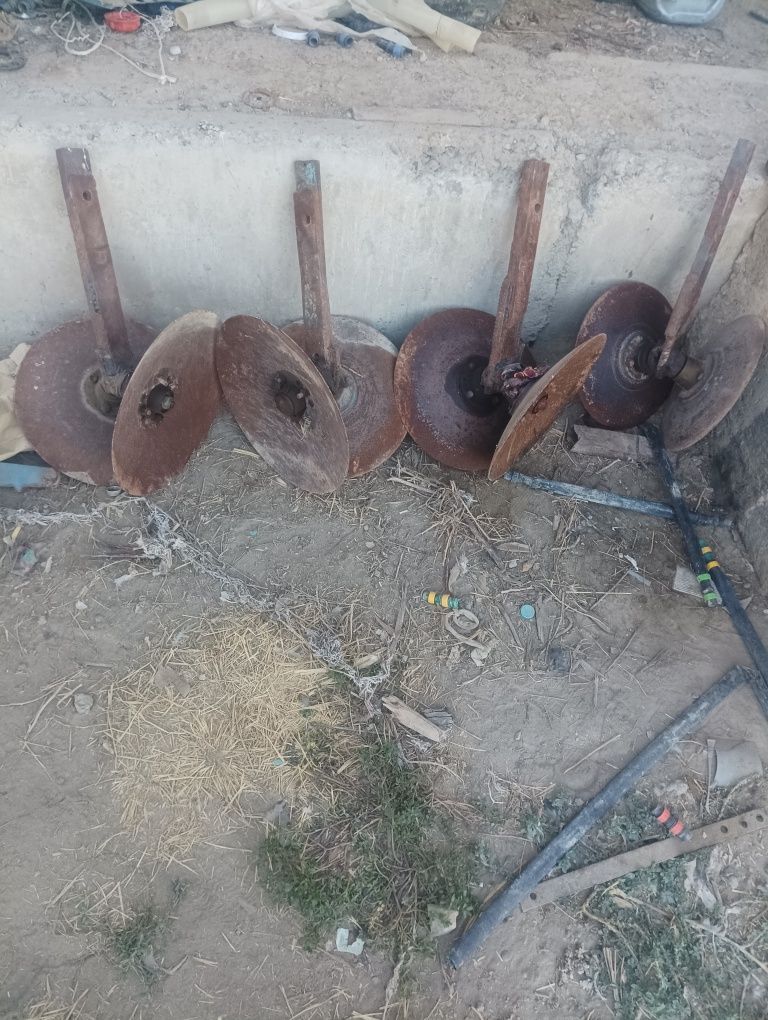 Limken selka Xolati ideal
