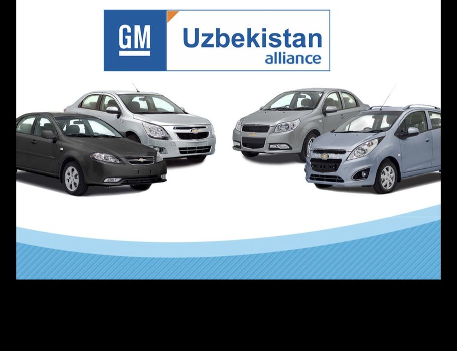 Профессиональная диагностика GM.