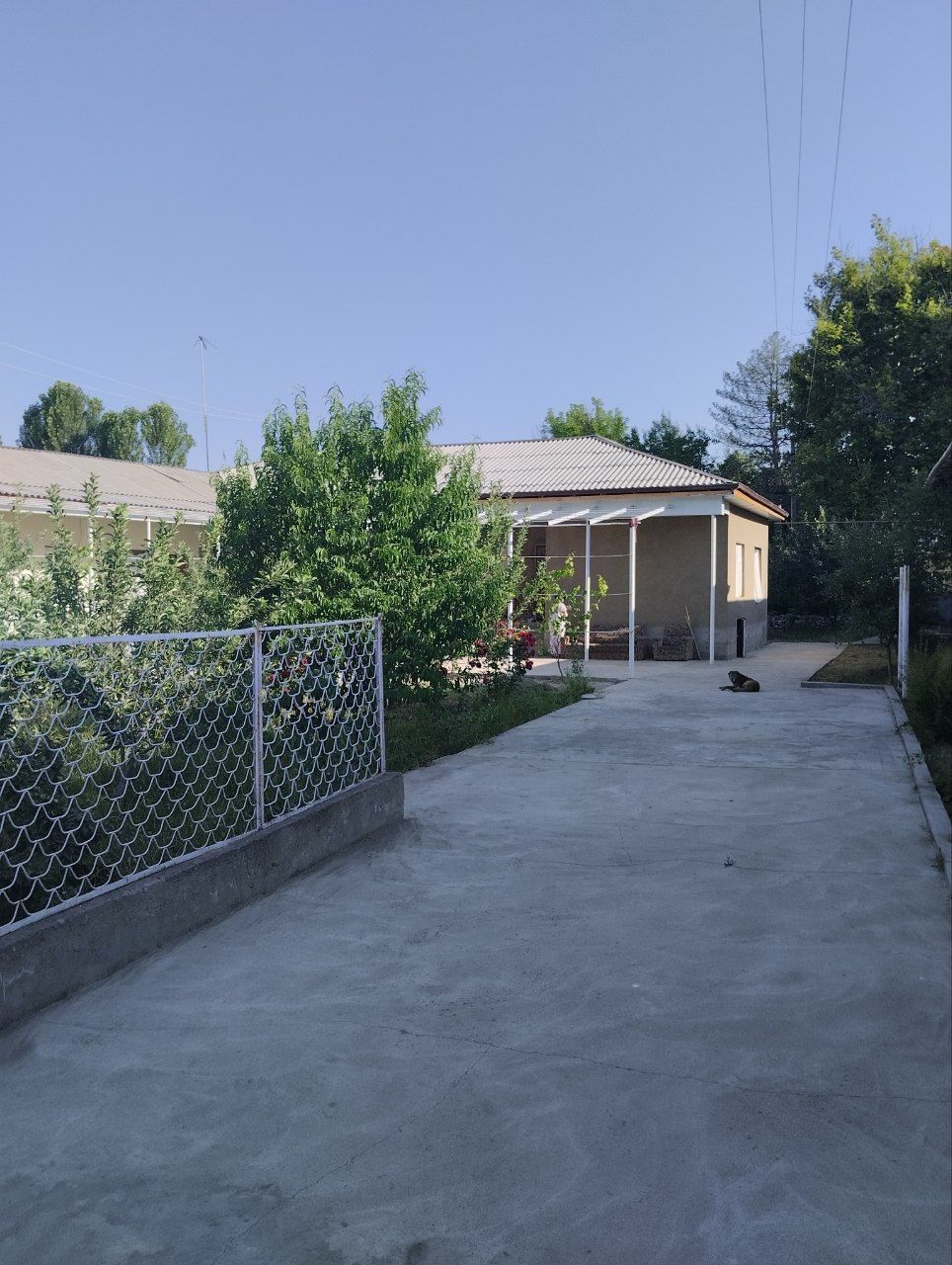 Xujjatlari joyida