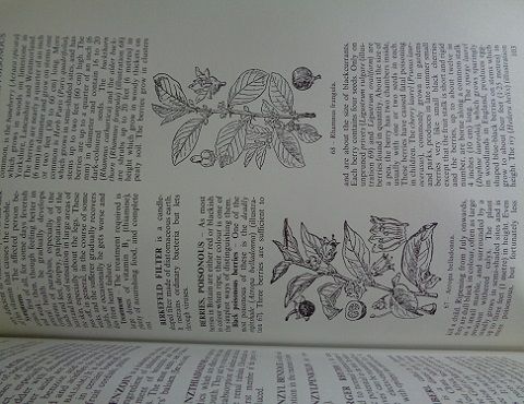 Black's medical dictionary