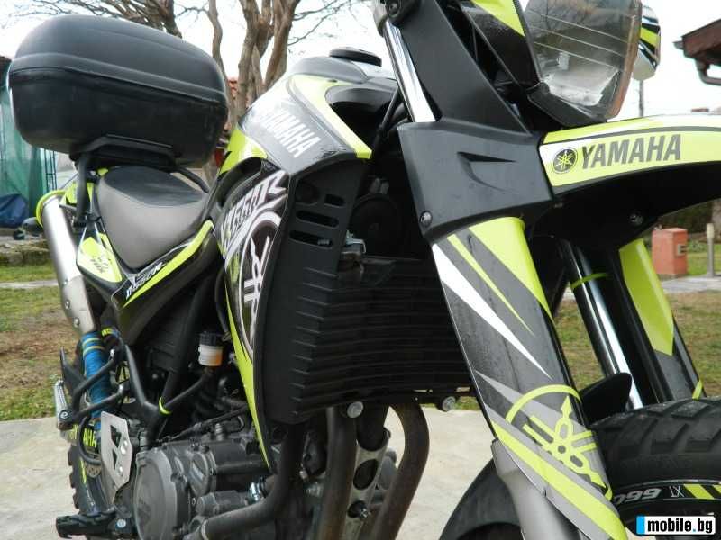 Yamaha xt 660r   Leo Vince