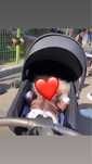 Carutttttt stokke