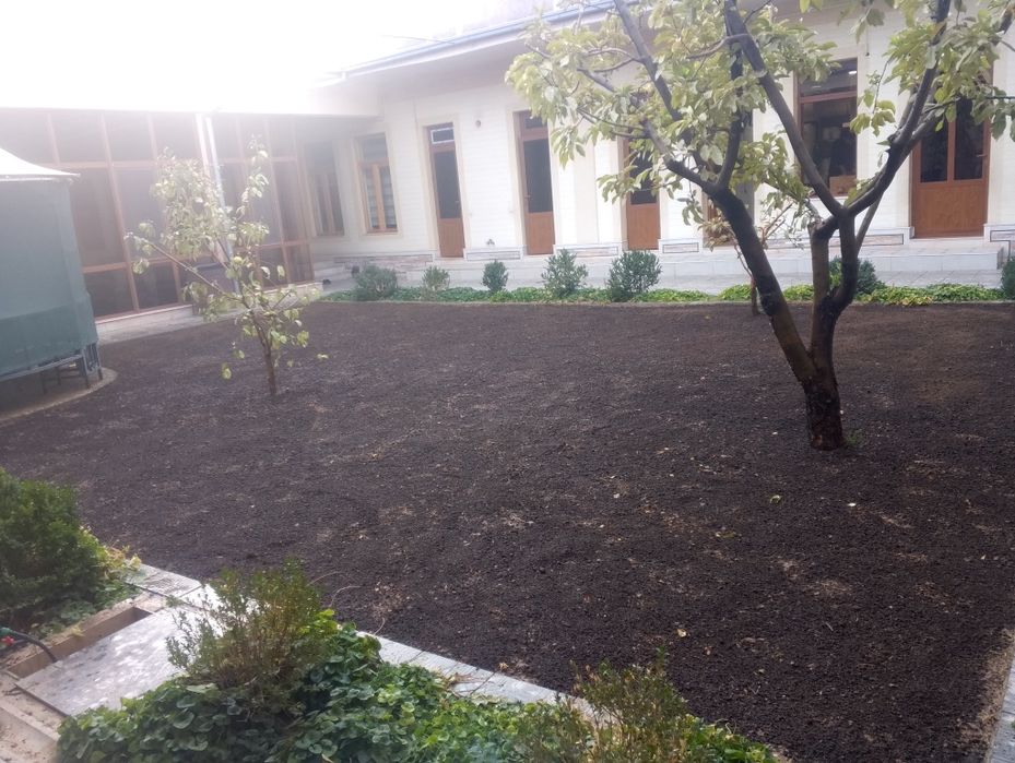 Majvenik stirchka spiral zaborni banzaylari bor chupachupis