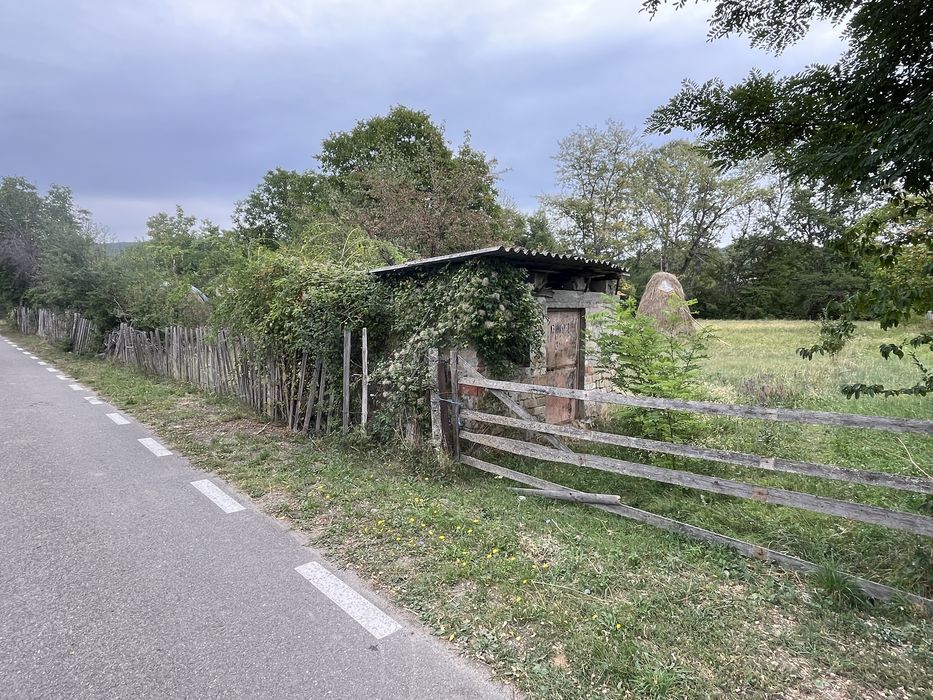 Teren intravilan 2.500 mp – Buciumeni, Dâmbovița