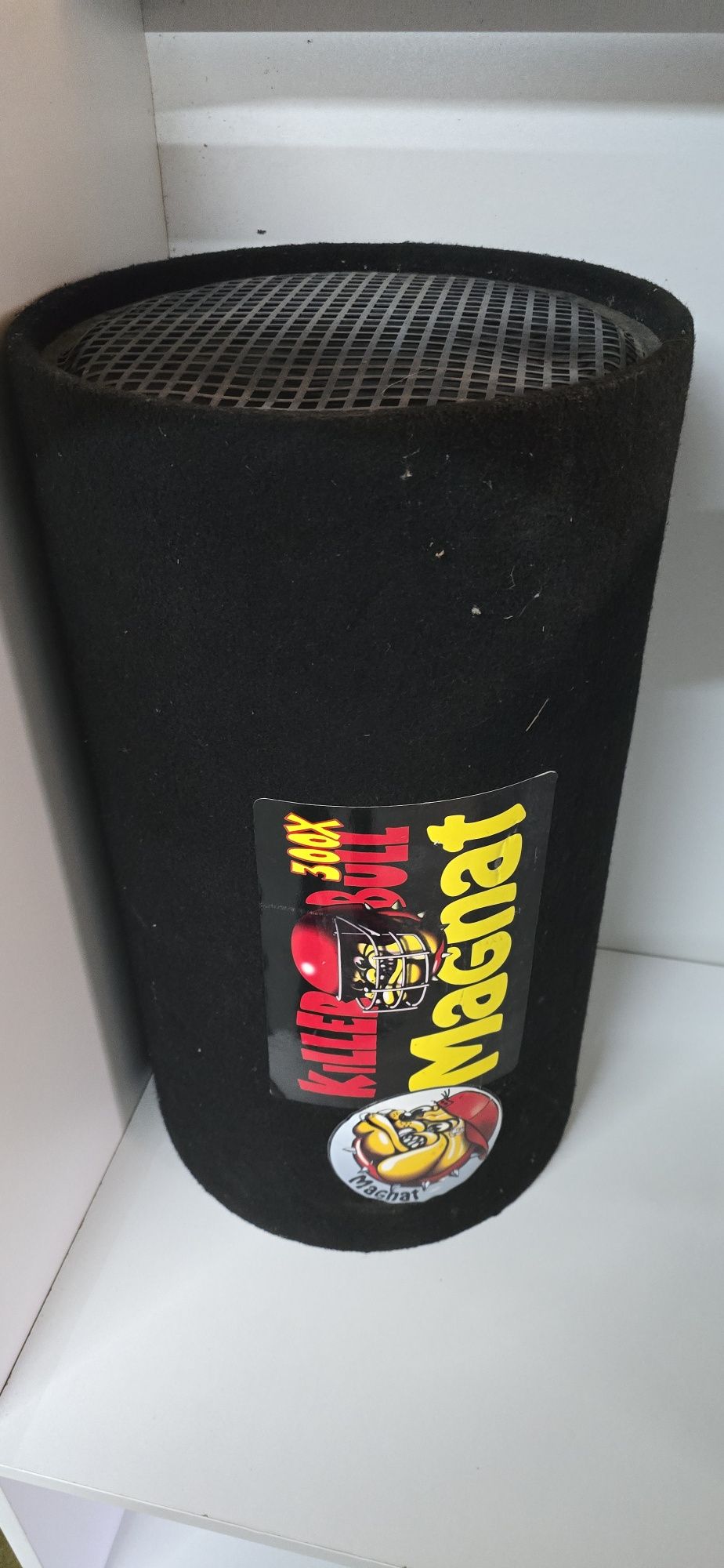Subwoofer magnat 300x