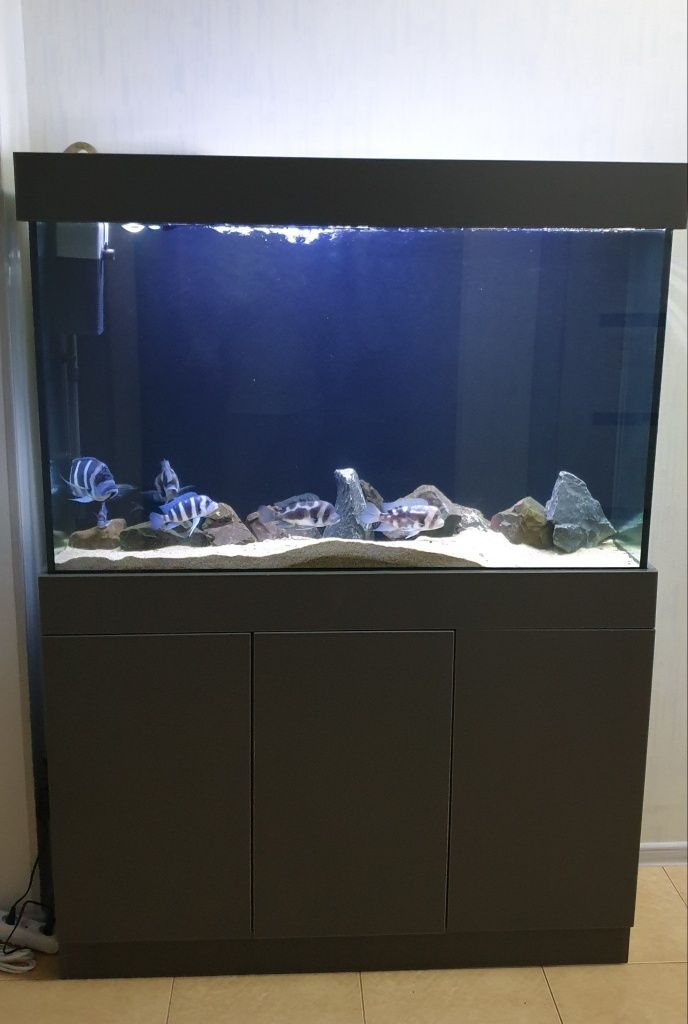 330 litr akvarium