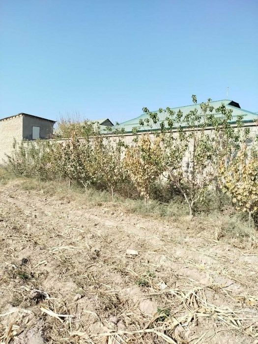 Shahar yaqinida barcha sharoitlarga e'ga yer maydoni sotiladi