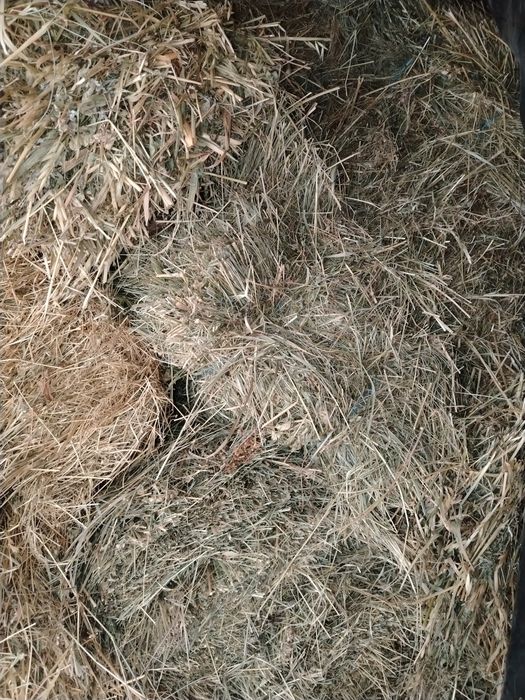 Vând baloti dreptunghiulari