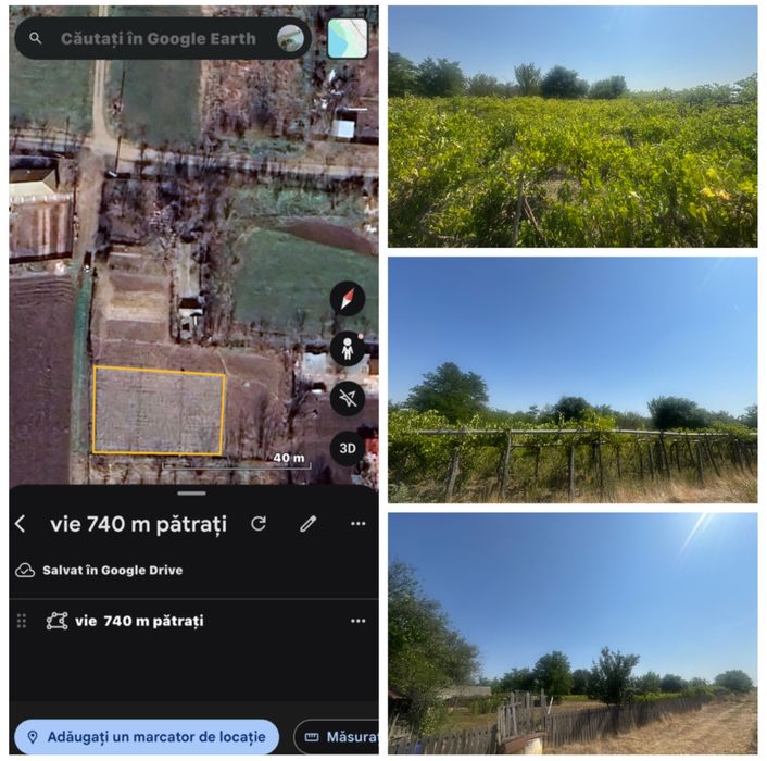 Casă în sat Floroaica 2800 m +teren arabil intravilan 4600 m