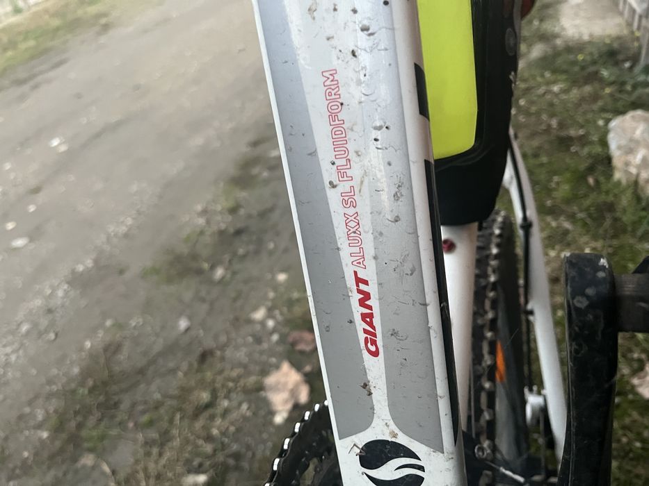 GiantAluxx sl fluidform (Talon 1)