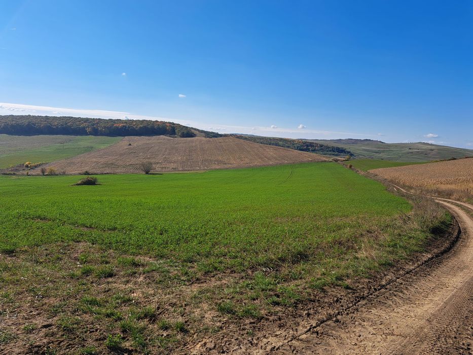 Teren agricol de vânzare - 27,6 ha in satul Visuia (Bistrița-Nasaud)