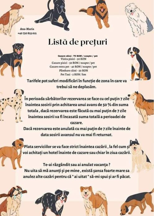 Pet Sitter & Pet Sitting - Dog & Cat Boarding