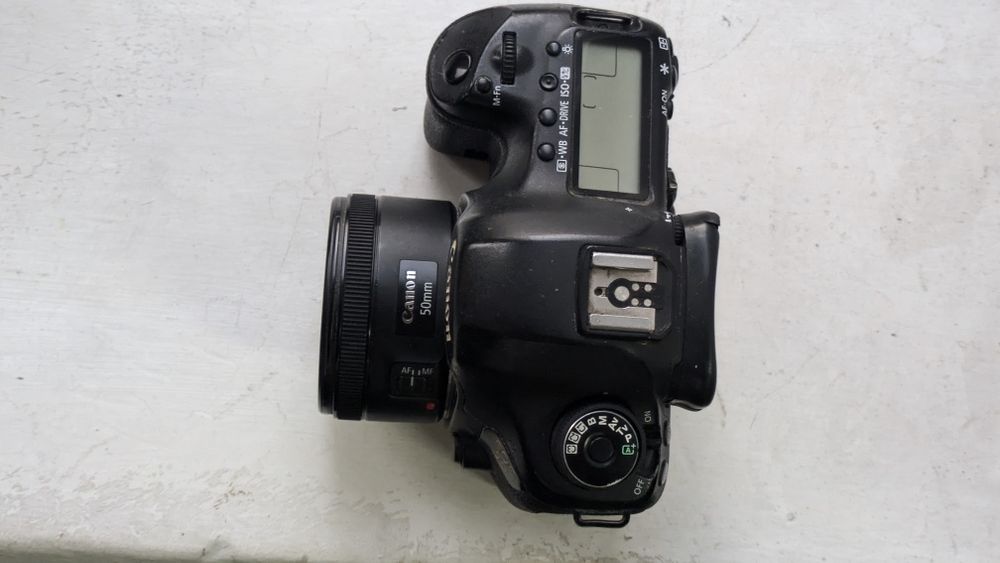 Canon 5D Mark III + Canon 50mm f/1.8 STM