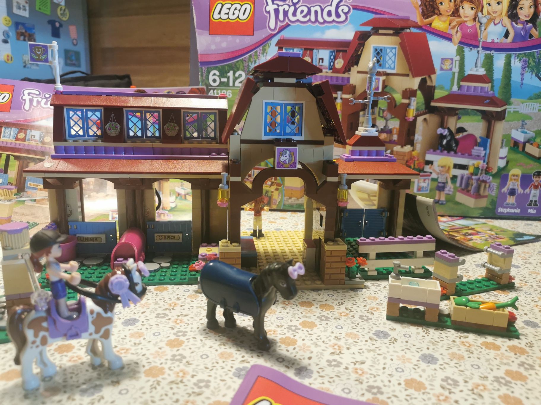 LEGO Friends 41126 complet