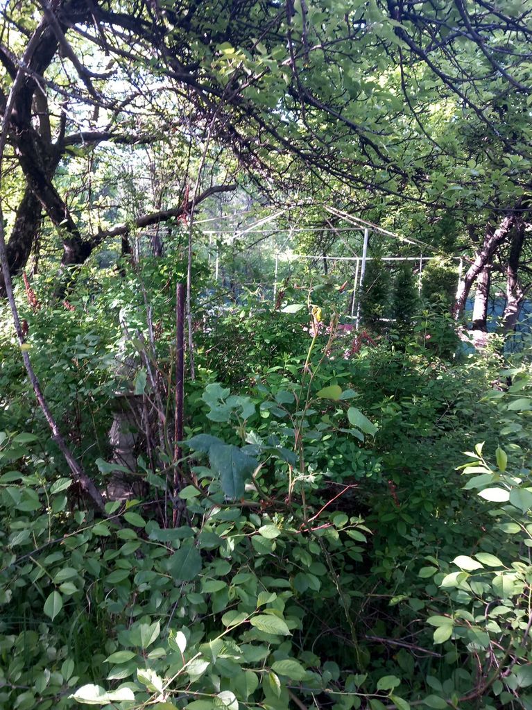 Продава се Къща в с. Люлин, Област Перник - 40 кв.м за 1500 €/кв.м - Снимка #11