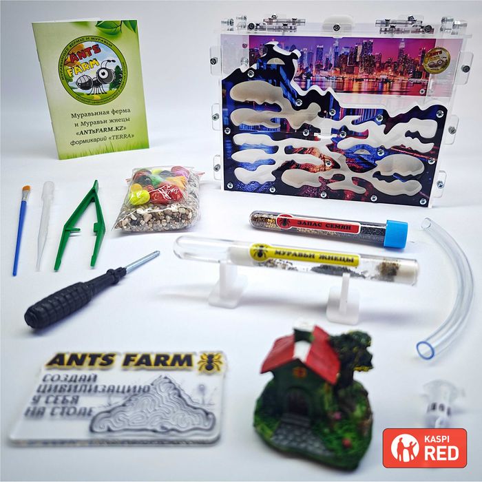 Муравьиная ферма - Муравьи жнецы ||| Вертикальный формикарий "TERRA"