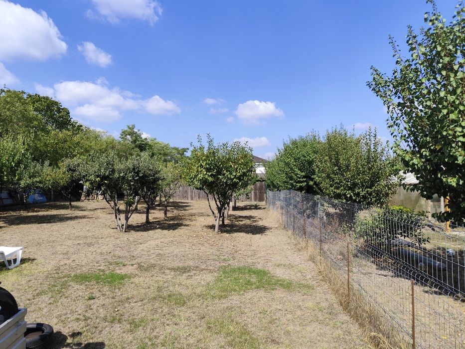 Casa vacanta sat Cojesti, com. Belciugatele, jud. Calarasi