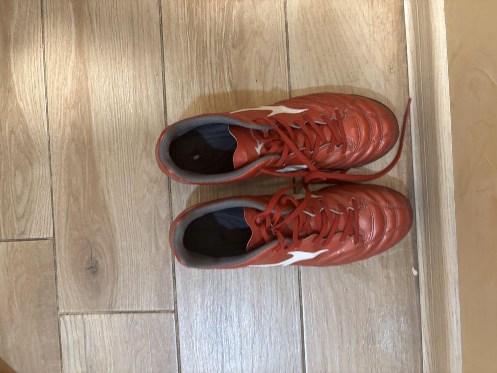 Стоножки mizuno 41