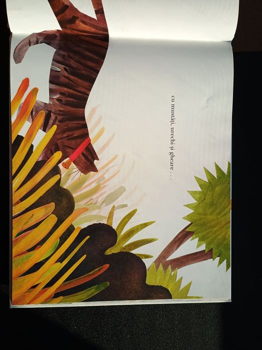 Carte copii "cu toții au văzut o pisică" explorat in imagini