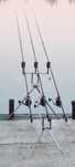 Lansete crap 390