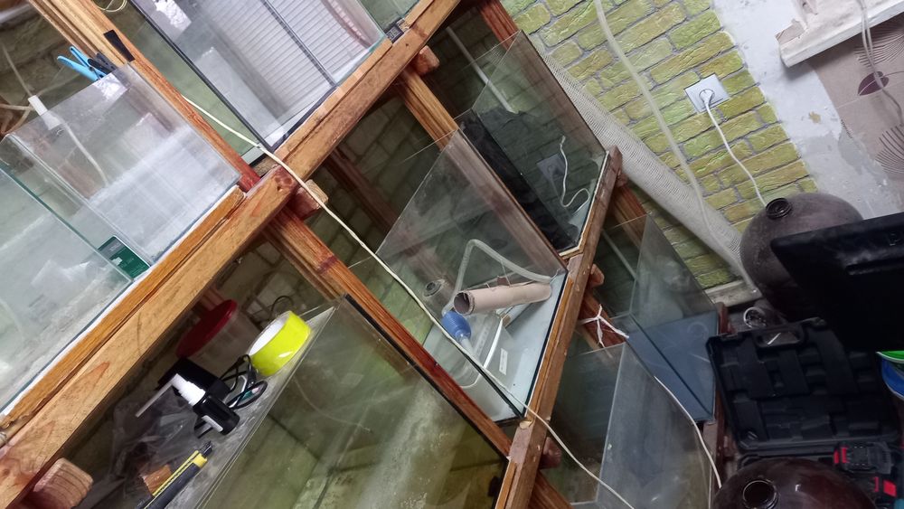 Продам Аквариумную Ферму