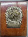 Medalie OSP-FRSN Rep. Pop. Rom. 1949-CANOTAJ dublu juniori, metal